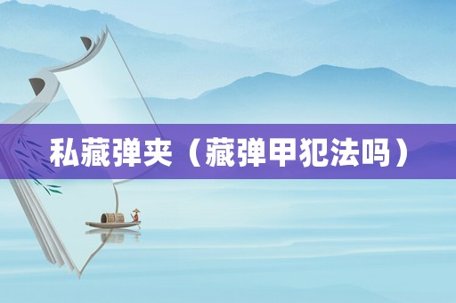 私藏彈夾（藏彈甲犯法嗎）