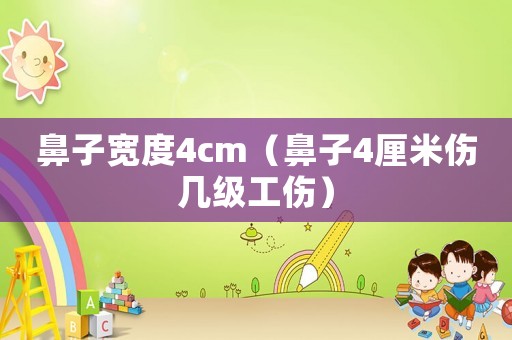 鼻子寬度4cm（鼻子4厘米傷幾級工傷）