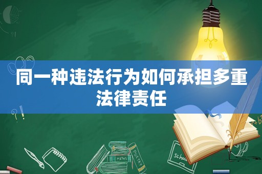 同一種違法行為如何承擔多重法律責任