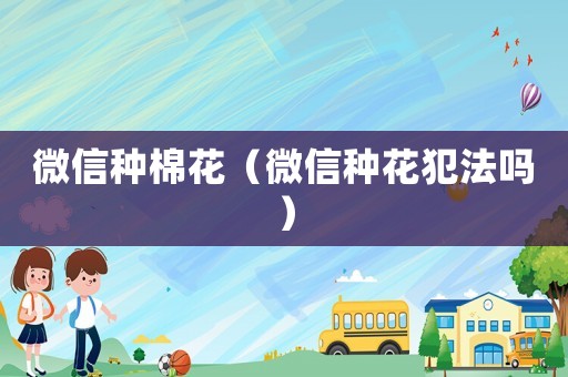 微信種棉花（微信種花犯法嗎）
