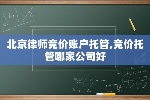 北京律師競價賬戶托管,競價托管哪家公司好