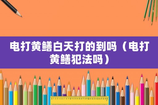 電打黃鱔白天打的到嗎（電打黃鱔犯法嗎）