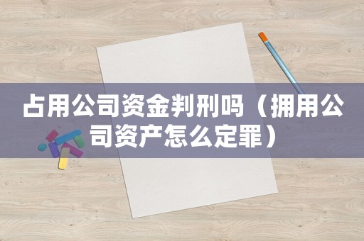 占用公司資金判刑嗎（擁用公司資產怎么定罪）