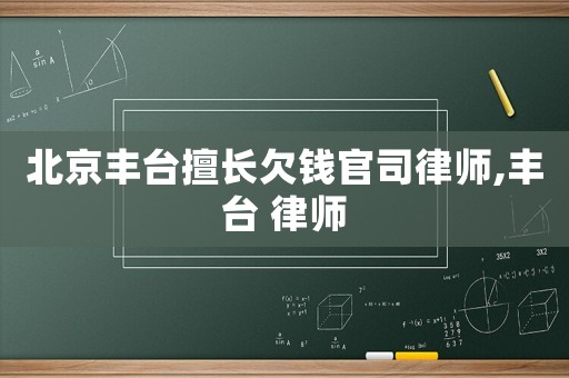 北京豐臺擅長欠錢官司律師,豐臺 律師