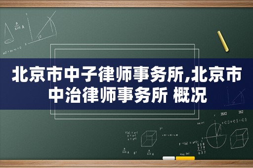 北京市中子律師事務所,北京市中治律師事務所 概況