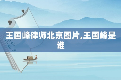 王國峰律師北京圖片,王國峰是誰