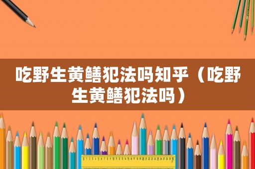吃野生黃鱔犯法嗎知乎（吃野生黃鱔犯法嗎）