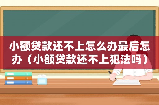小額貸款還不上怎么辦最后怎辦（小額貸款還不上犯法嗎）