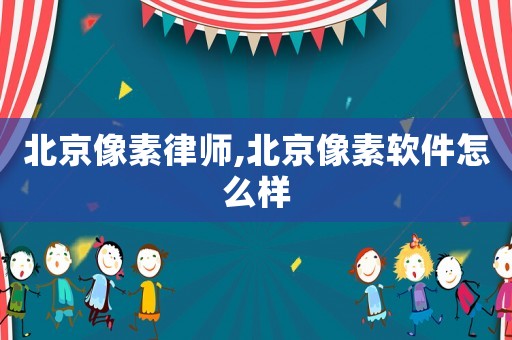 北京像素律師,北京像素軟件怎么樣