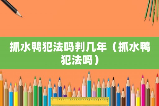 抓水鴨犯法嗎判幾年（抓水鴨犯法嗎）