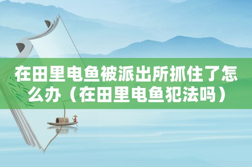 在田里電魚被派出所抓住了怎么辦（在田里電魚犯法嗎）