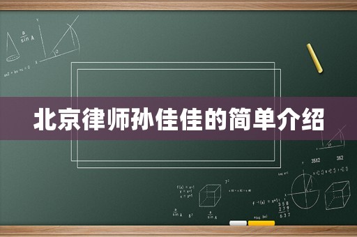 北京律師孫佳佳的簡單介紹