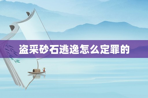 盜采砂石逃逸怎么定罪的