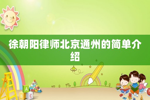 徐朝陽律師北京通州的簡單介紹