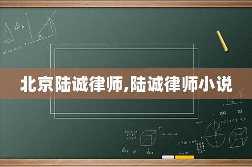 北京陸誠律師,陸誠律師小說