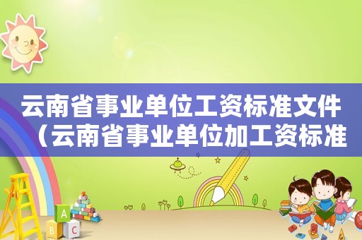 云南省事業單位工資標準文件（云南省事業單位加工資標準）