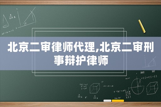 北京二審律師代理,北京二審刑事辯護律師
