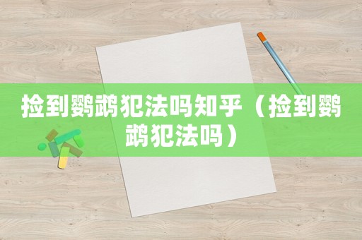 撿到鸚鵡犯法嗎知乎（撿到鸚鵡犯法嗎）