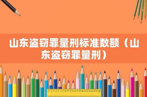 山東盜竊罪量刑標準數額（山東盜竊罪量刑）