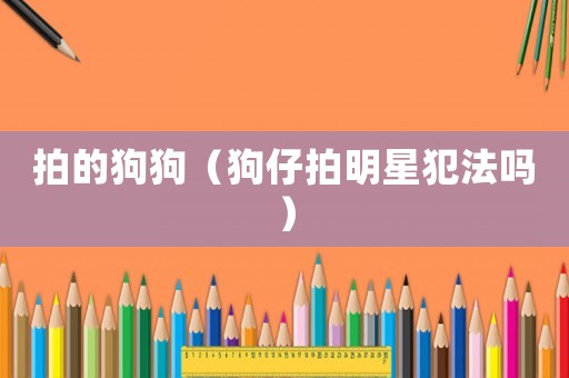 拍的狗狗（狗仔拍明星犯法嗎）
