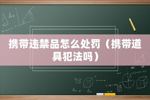 攜帶違禁品怎么處罰（攜帶道具犯法嗎）