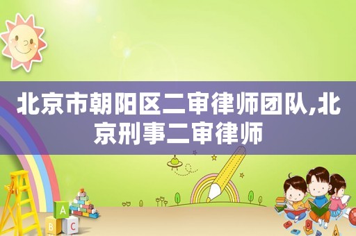 北京市朝陽(yáng)區(qū)二審律師團(tuán)隊(duì),北京刑事二審律師