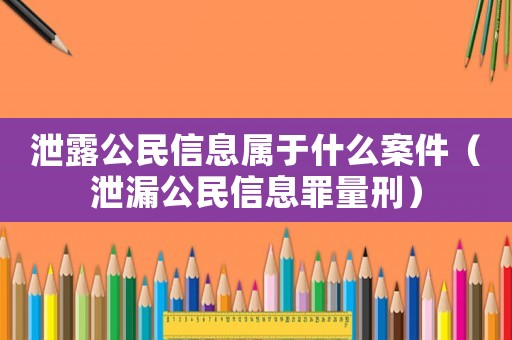 泄露公民信息屬于什么案件（泄漏公民信息罪量刑）