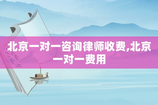北京一對一咨詢律師收費,北京一對一費用