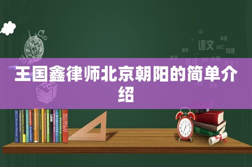 王國鑫律師北京朝陽的簡單介紹