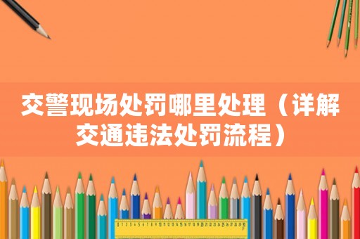 交警現場處罰哪里處理（詳解交通違法處罰流程）