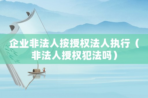 企業非法人按授權法人執行（非法人授權犯法嗎）