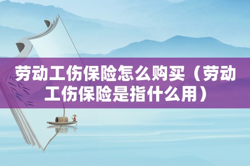 勞動(dòng)工傷保險(xiǎn)怎么購(gòu)買（勞動(dòng)工傷保險(xiǎn)是指什么用）