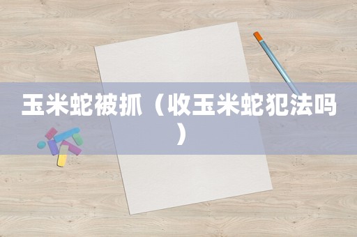玉米蛇被抓（收玉米蛇犯法嗎）