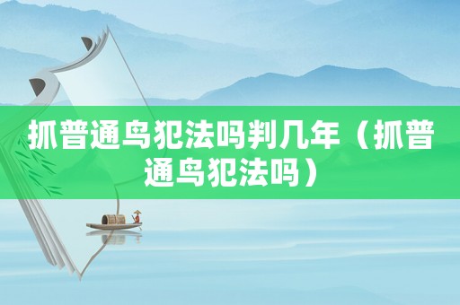 抓普通鳥犯法嗎判幾年（抓普通鳥犯法嗎）