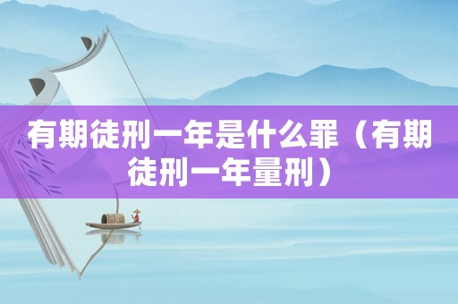有期徒刑一年是什么罪（有期徒刑一年量刑）