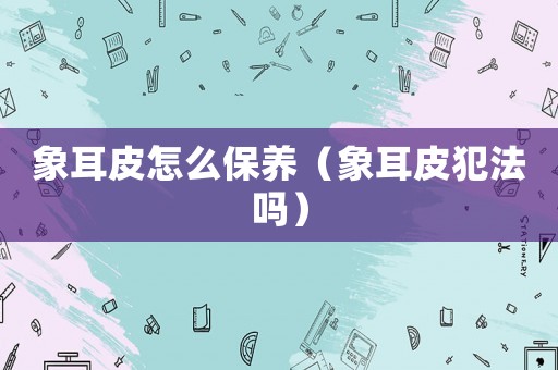 象耳皮怎么保養（象耳皮犯法嗎）