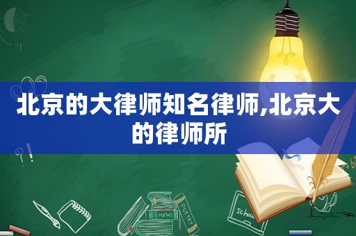 北京的大律師知名律師,北京大的律師所