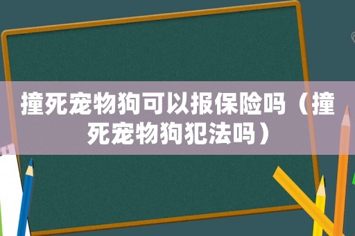 撞死寵物狗可以報(bào)保險(xiǎn)嗎（撞死寵物狗犯法嗎）
