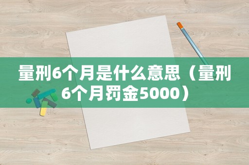 量刑6個月是什么意思（量刑6個月罰金5000）