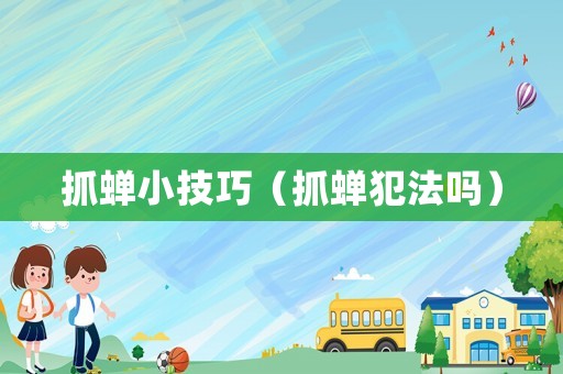 抓蟬小技巧（抓蟬犯法嗎）