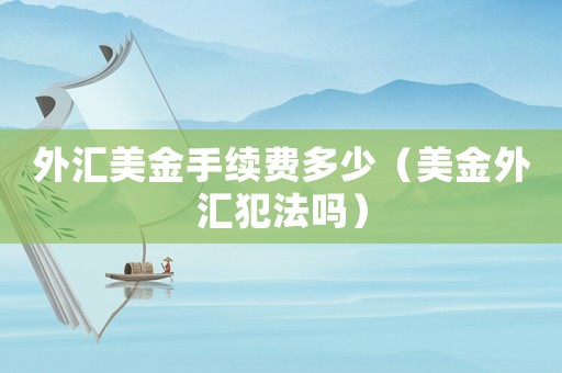 外匯美金手續費多少（美金外匯犯法嗎）