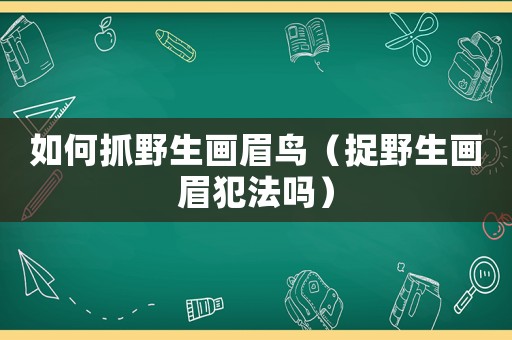 如何抓野生畫眉鳥（捉野生畫眉犯法嗎）