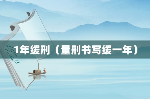 1年緩刑（量刑書(shū)寫(xiě)緩一年）
