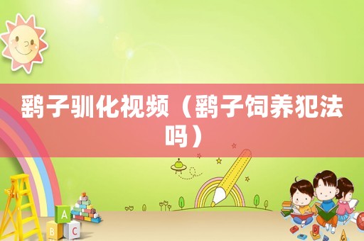 鷂子馴化視頻（鷂子飼養(yǎng)犯法嗎）