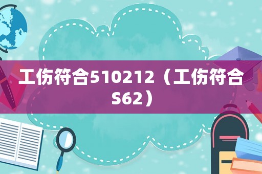 工傷符合510212（工傷符合S62）