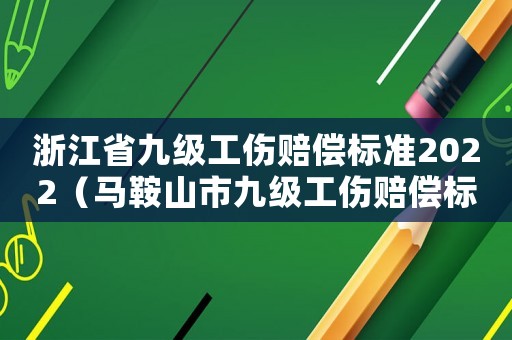 浙江省九級工傷賠償標準2022（馬鞍山市九級工傷賠償標準）