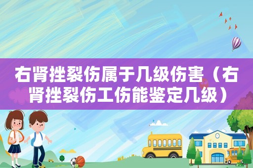 右腎挫裂傷屬于幾級傷害（右腎挫裂傷工傷能鑒定幾級）