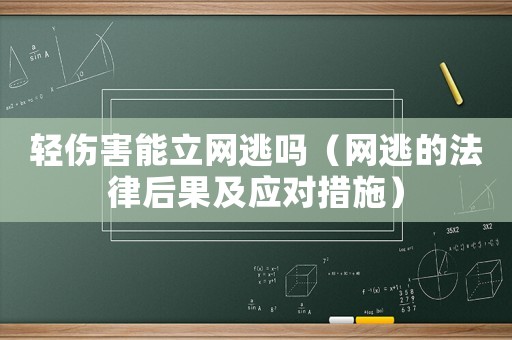 輕傷害能立網逃嗎（網逃的法律后果及應對措施）