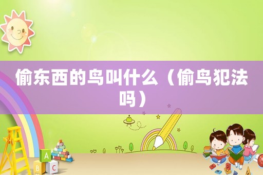 偷東西的鳥(niǎo)叫什么（偷鳥(niǎo)犯法嗎）