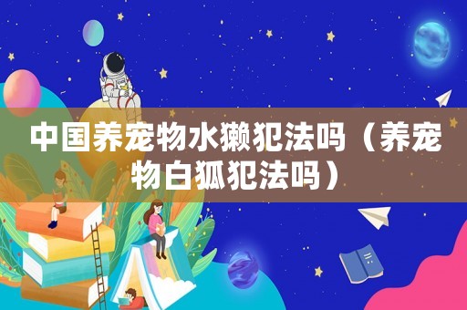 中國養寵物水獺犯法嗎（養寵物白狐犯法嗎）
